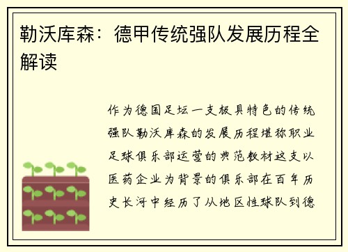 勒沃库森：德甲传统强队发展历程全解读