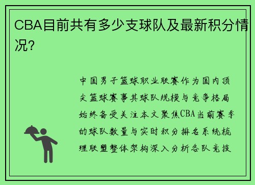 CBA目前共有多少支球队及最新积分情况？